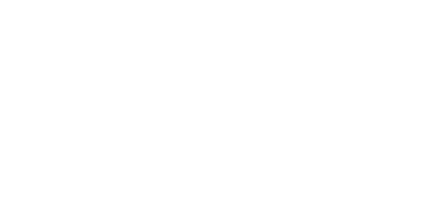 logo_solace